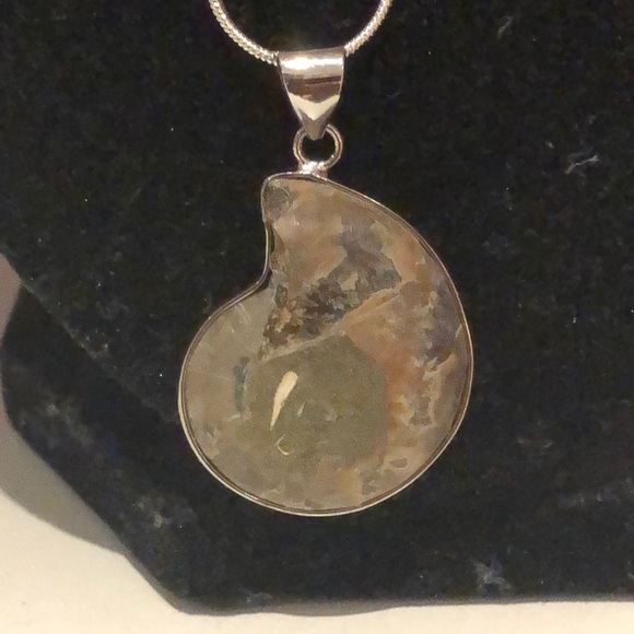Ammonite Necklace - Picture 3 of 4